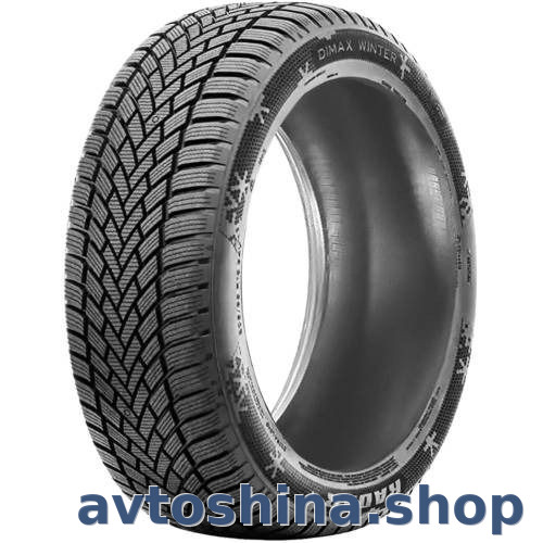 Radar Dimax Winter 205/60 R16 96V XL